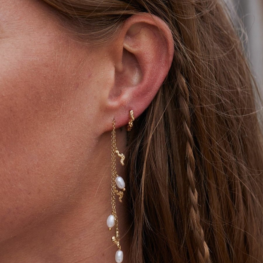 Favia Small Hoops wintherstudio-se